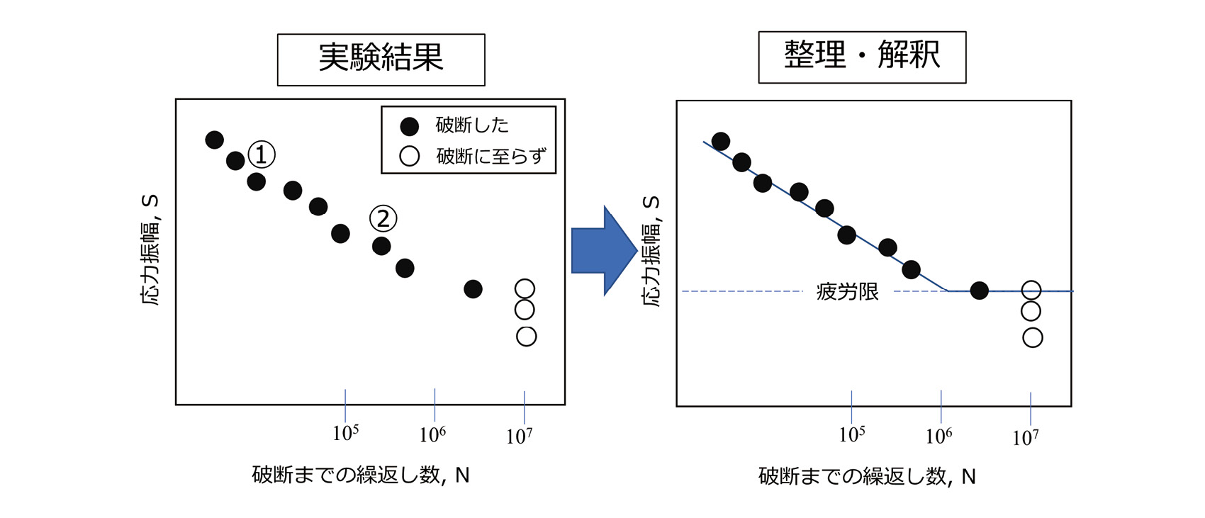 図表7.01　S（応力振幅）-N（破断までの繰返し数）曲線。<br>
かつてはヴェーラー線図と呼ばれた。（筆者作成）
