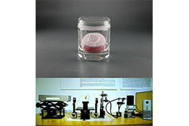 世界初の光ファイバ通信実験に用いられた変調素子(ADP結晶)